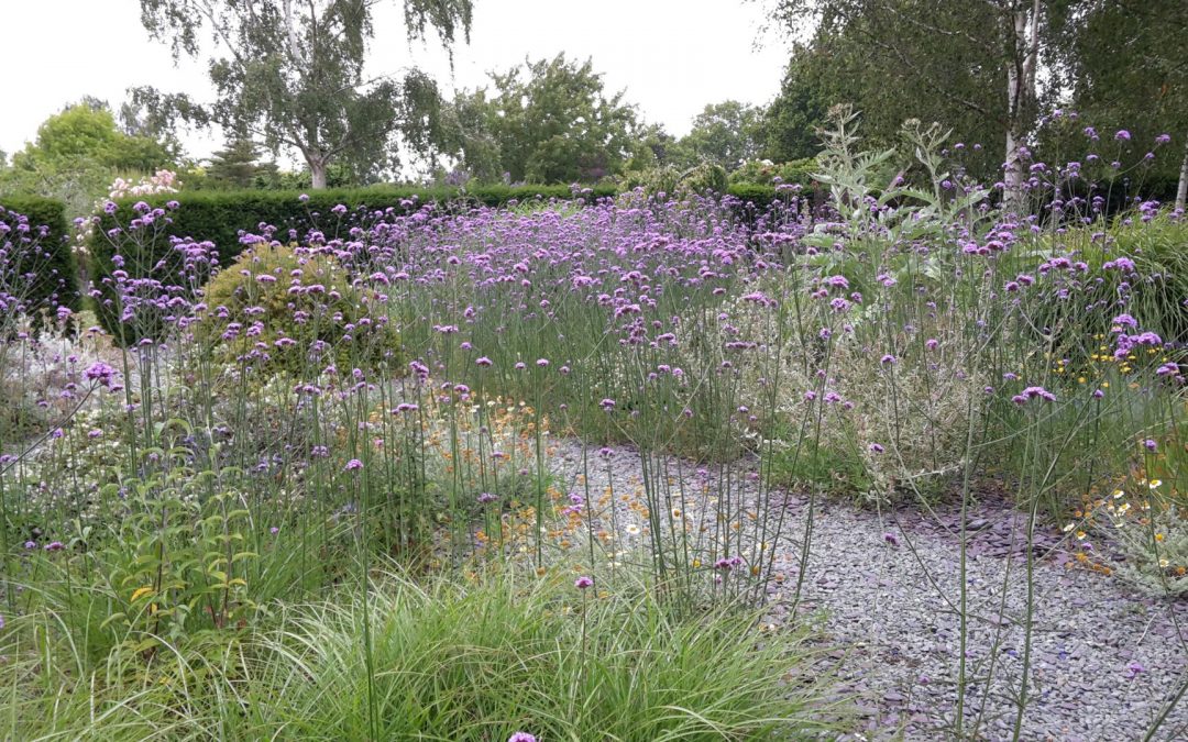 Nieuwe website live!