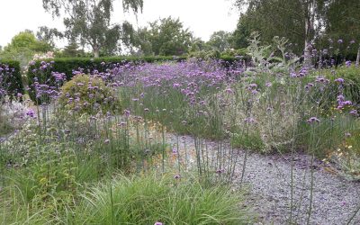 Nieuwe website live!